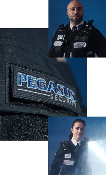Pegasus Management